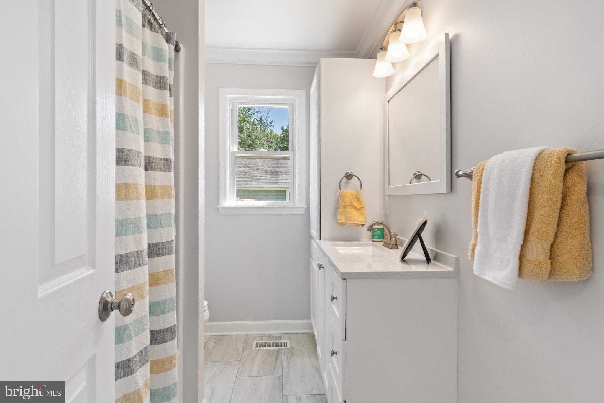 115 Parks Road Chester, MD 21619 - Photo 22 of 54 a bathroom with a sink and a mirror