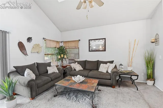 a living room with furniture and a potted plant