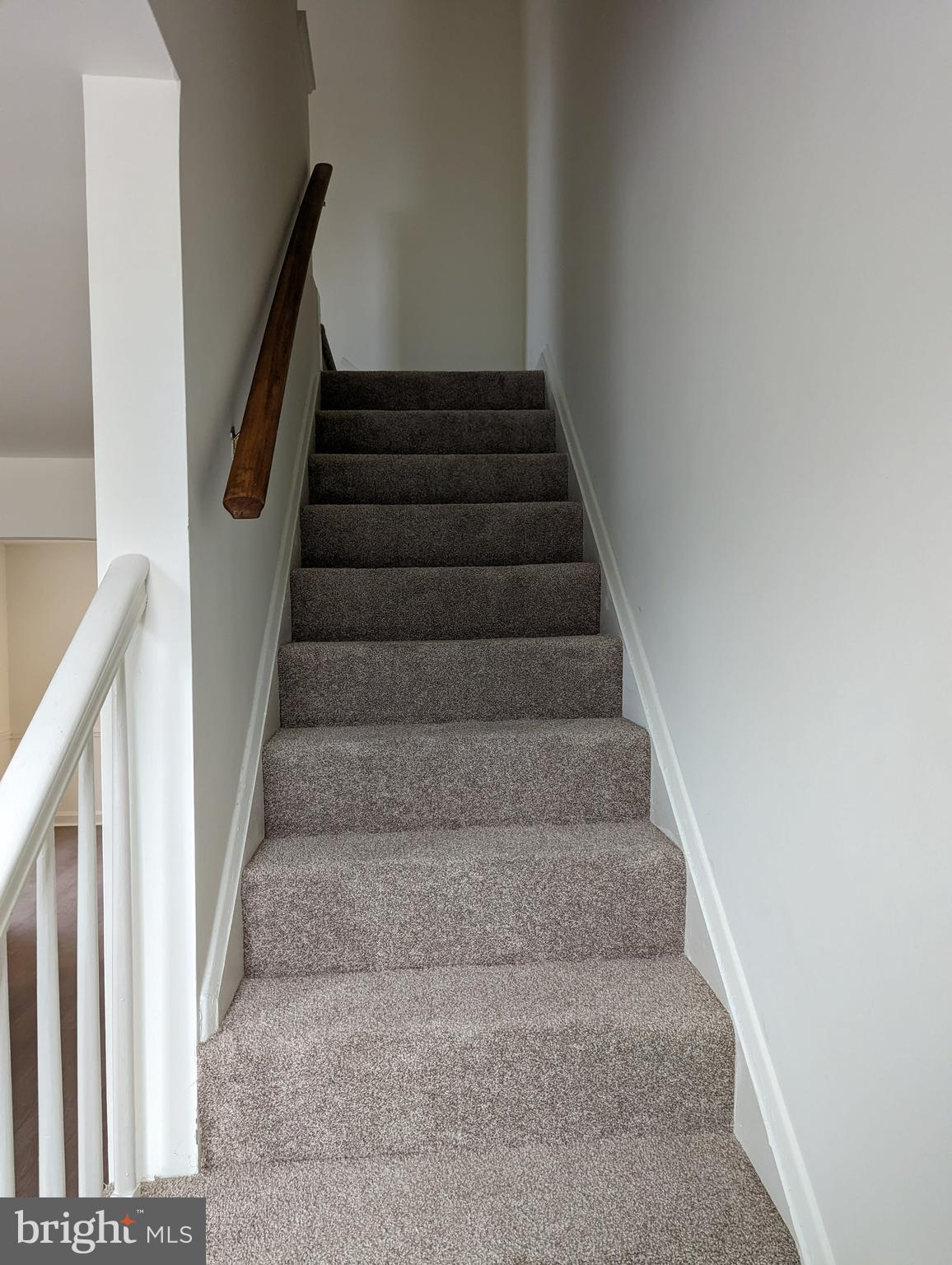 4901 Cedar Garden Road Baltimore, MD 21229 - Photo 10 of 14
