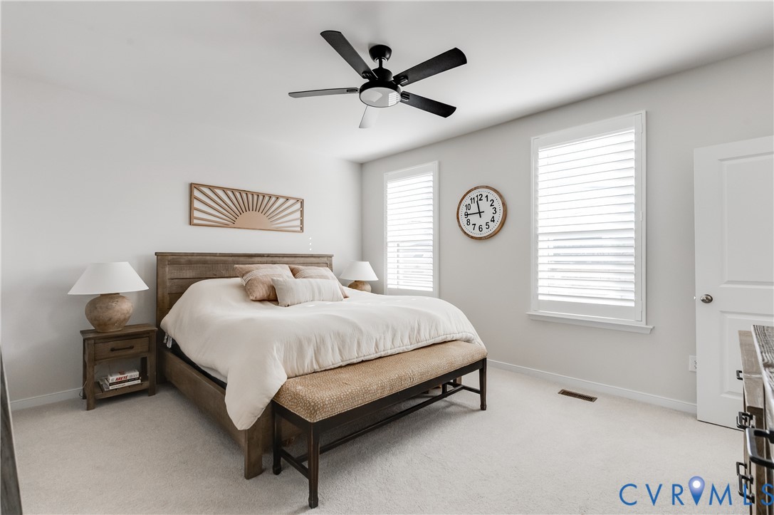 1900 Roseneath Road, Unit 8B Richmond, VA 23230 - Photo 24 of 50 Bedroom featuring light carpet and a ceiling fan