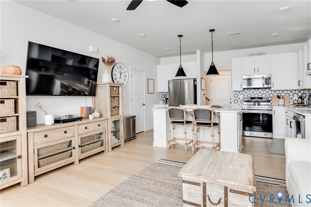 1900 Roseneath Road, Unit 8B Richmond, VA 23230 - Photo 7 of 50 Living room featuring light wood-style floors and