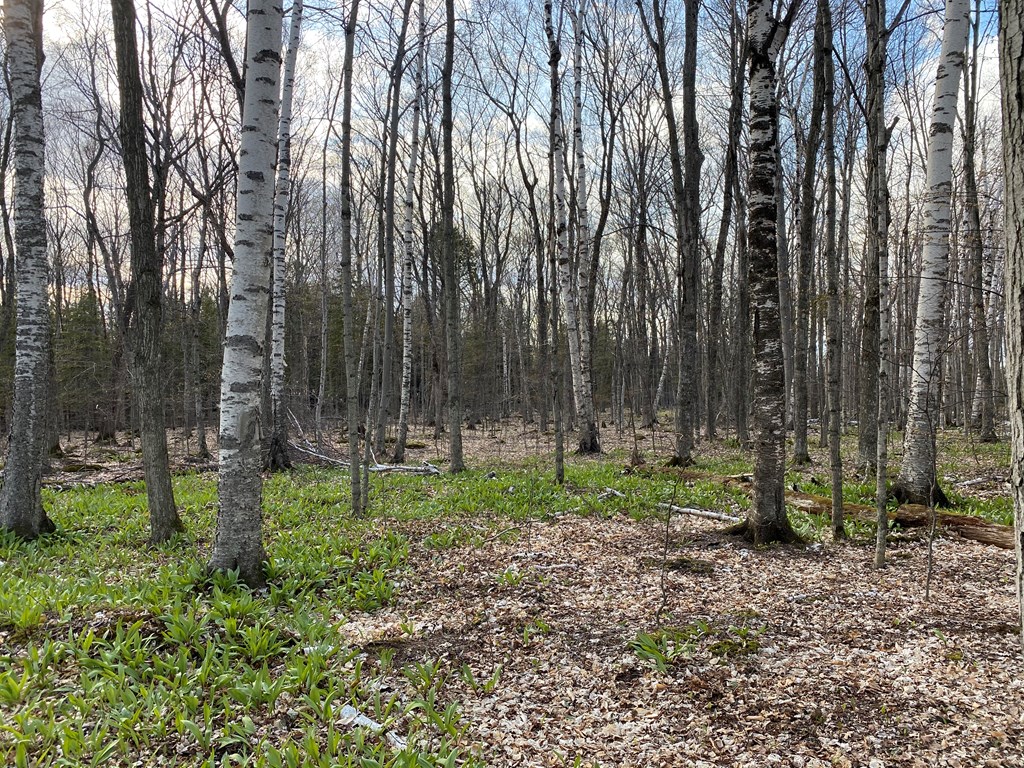 Tbd Mc Donald Road Washington Island, WI 54246 - Photo 10 of 11