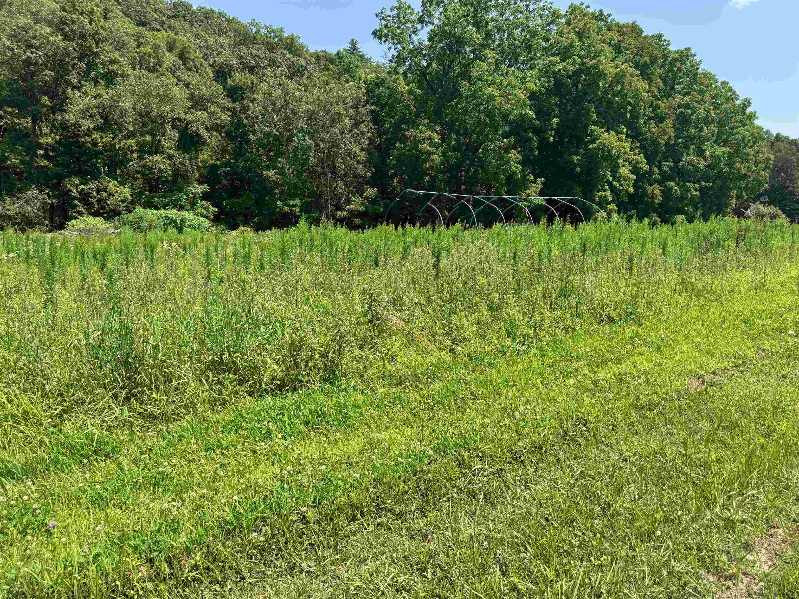 188 Upper Walpole Road Walpole, NH 03608 - Photo 38 of 44