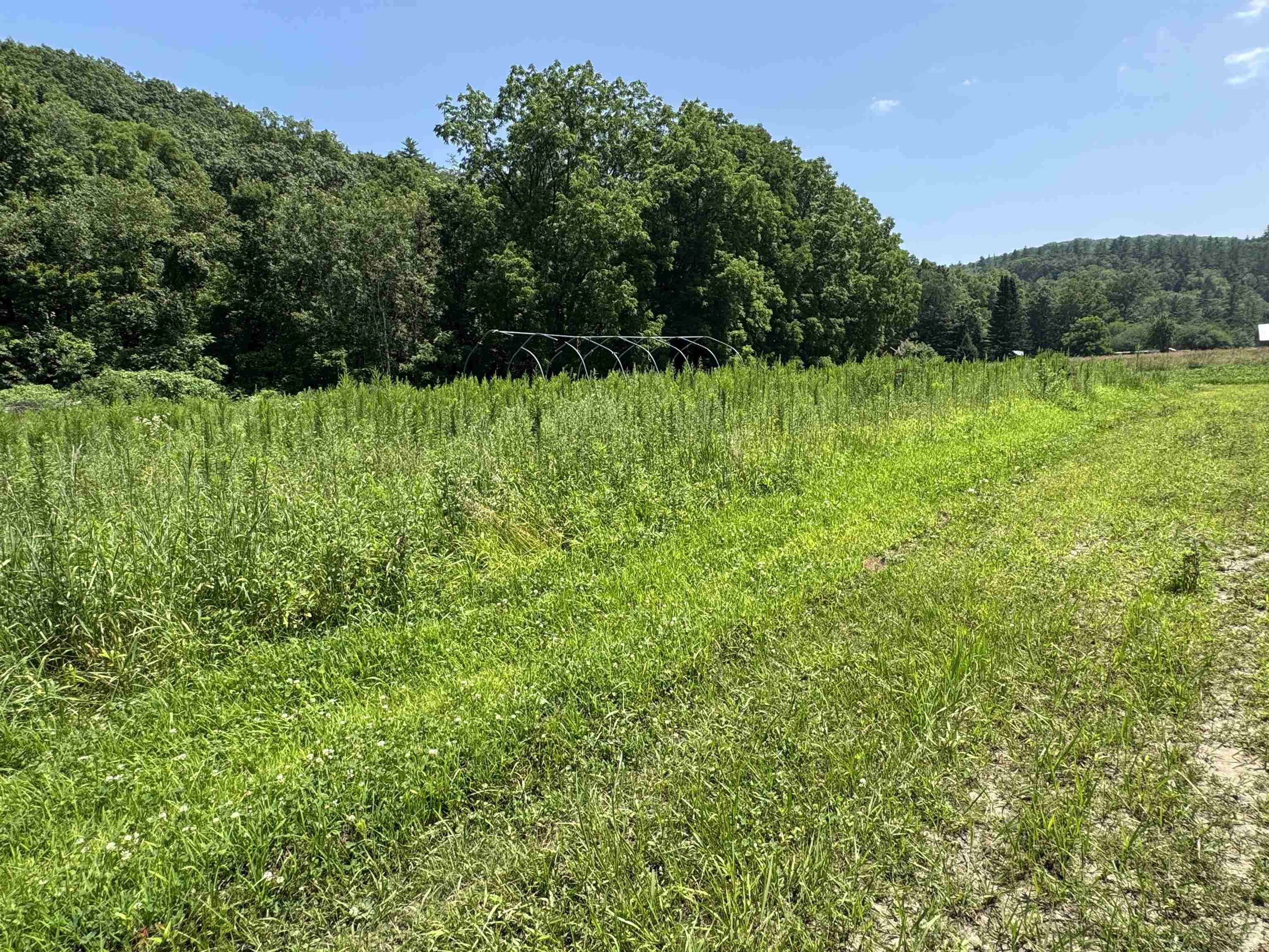 188 Upper Walpole Road Walpole, NH 03608 - Photo 39 of 44