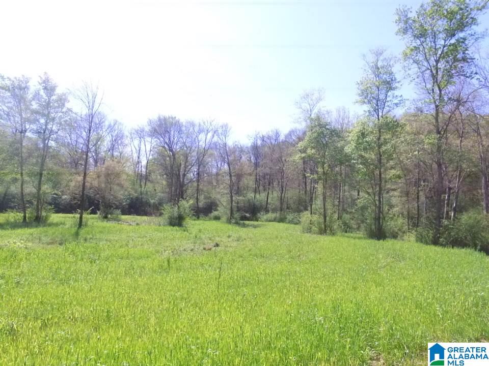 0 County Road 60, Unit 1 Heflin, AL 36264 - Photo 2 of 14