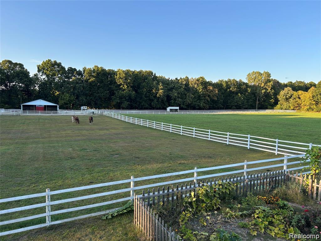 9074 White Road Linden, MI 48451 - Photo 24 of 49 Fenced Pastures!