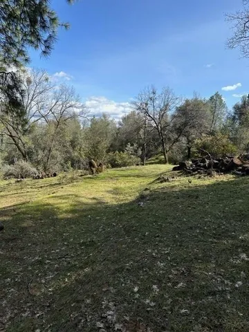 a view of outdoor space with trees all around