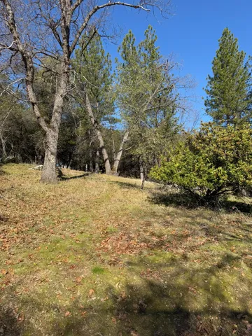 a view of yard with tree in the background