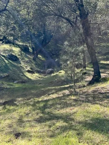 a view of a lake from a yard