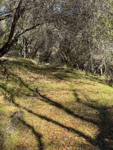 a view of small yard
