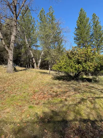 a view of swimming pool with an outdoor space