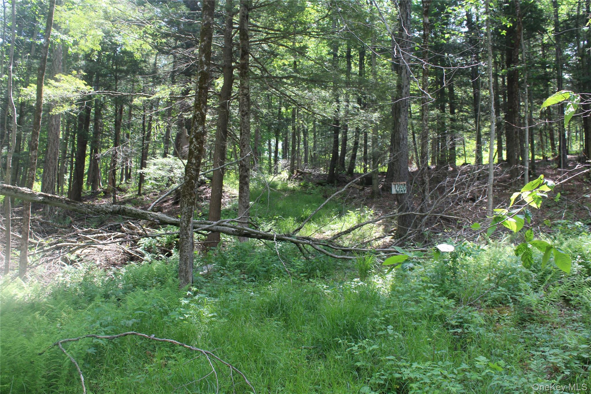 624 County Road Fremont Center, NY 12736 - Photo 27 of 40
