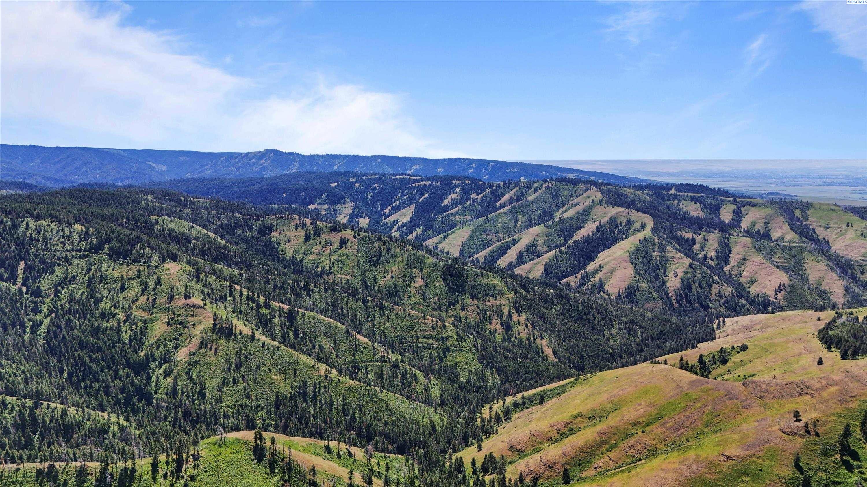 Unk10 Blacksnake Ridge Road Walla Walla, WA 99362 - Photo 19 of 48 Gallery Image 19