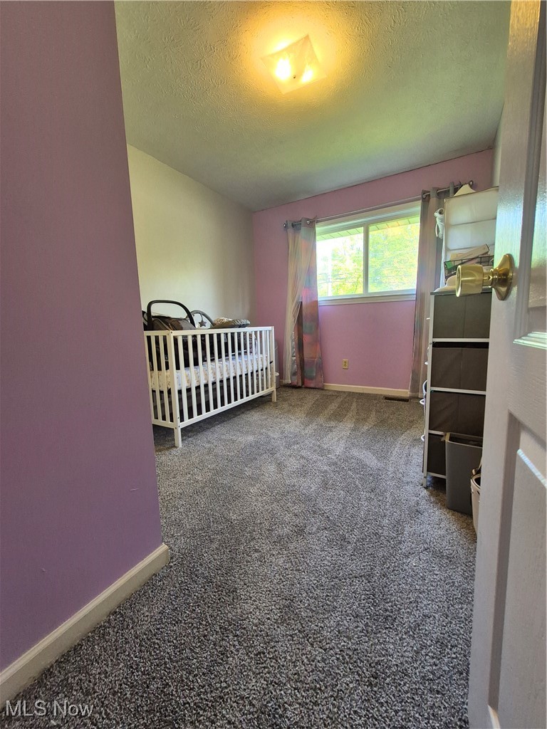 1534 Hubbard Road Madison, OH 44057 - Photo 13 of 15 Carpeted bedroom with a textured ceiling and baseboards