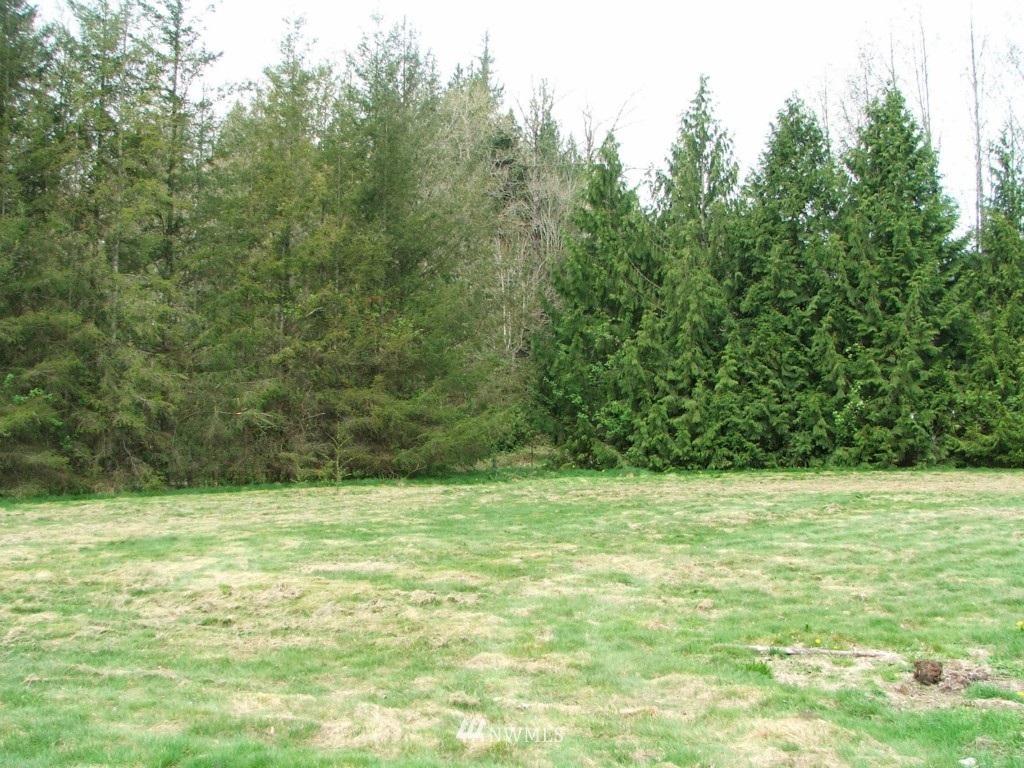 27516 State Rte 20 Sedro-Woolley, WA 98284 - Photo 6 of 21 Gallery Image 6