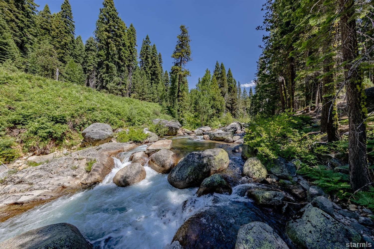 9 42 Milestone Trail Twin Bridges, CA 95735 - Photo 4 of 15 a view of a forest with trees