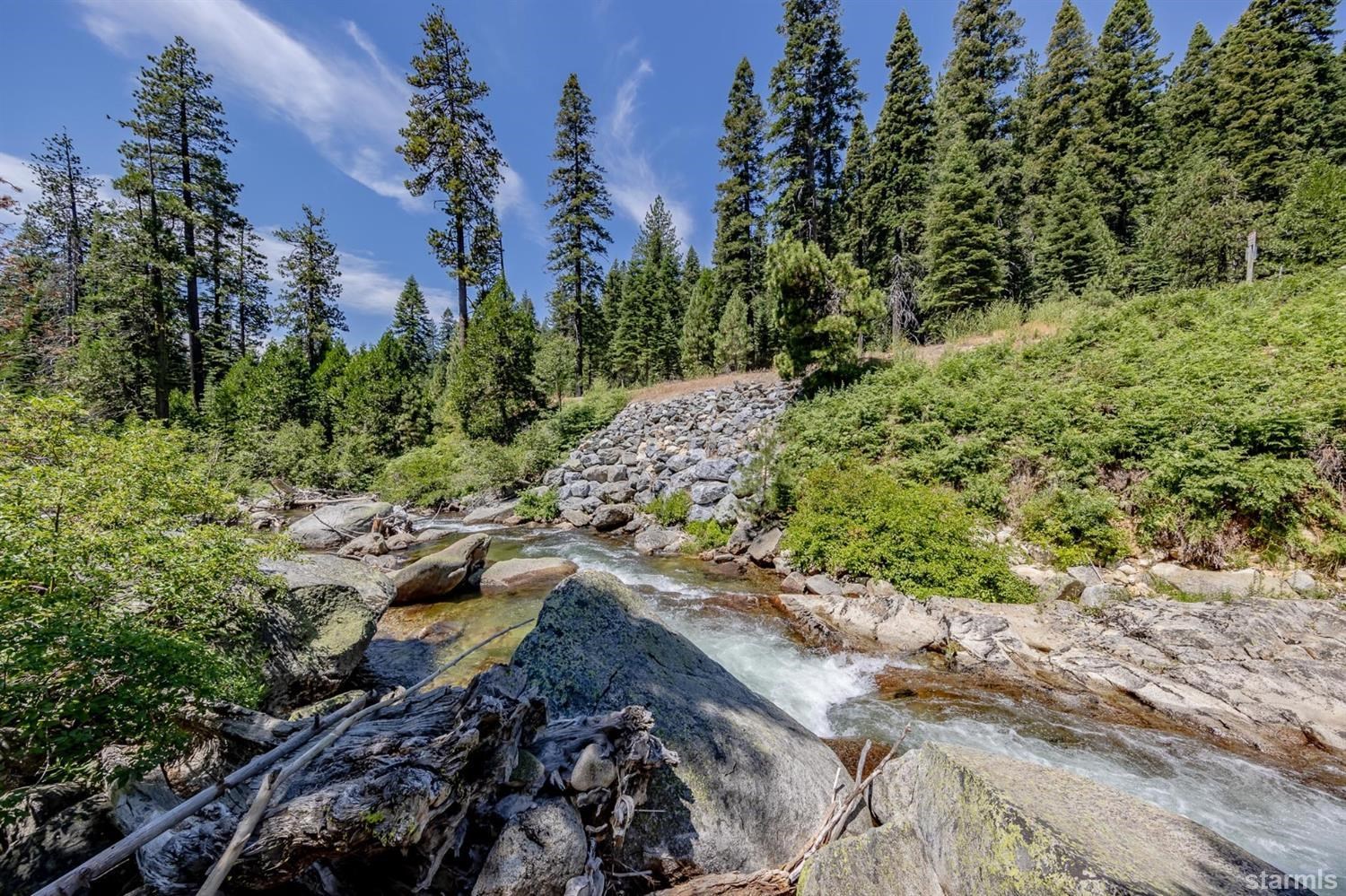 9 42 Milestone Trail Twin Bridges, CA 95735 - Photo 5 of 15 a view of a garden with a tree