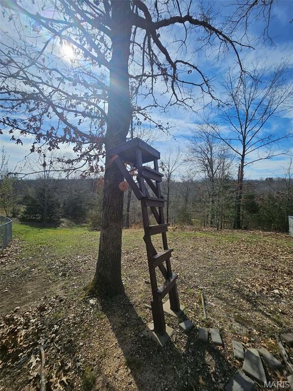 20381 Heritage Road St. Robert, MO 65584 - Photo 62 of 62