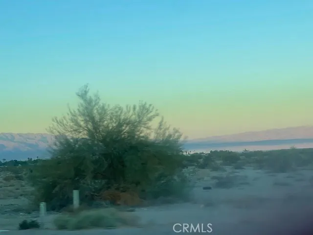 a view of a field of grass and trees