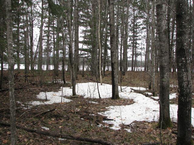 On East Stormy Lake Road Conover, WI 54519 - Photo 4 of 5 Gallery Image 4