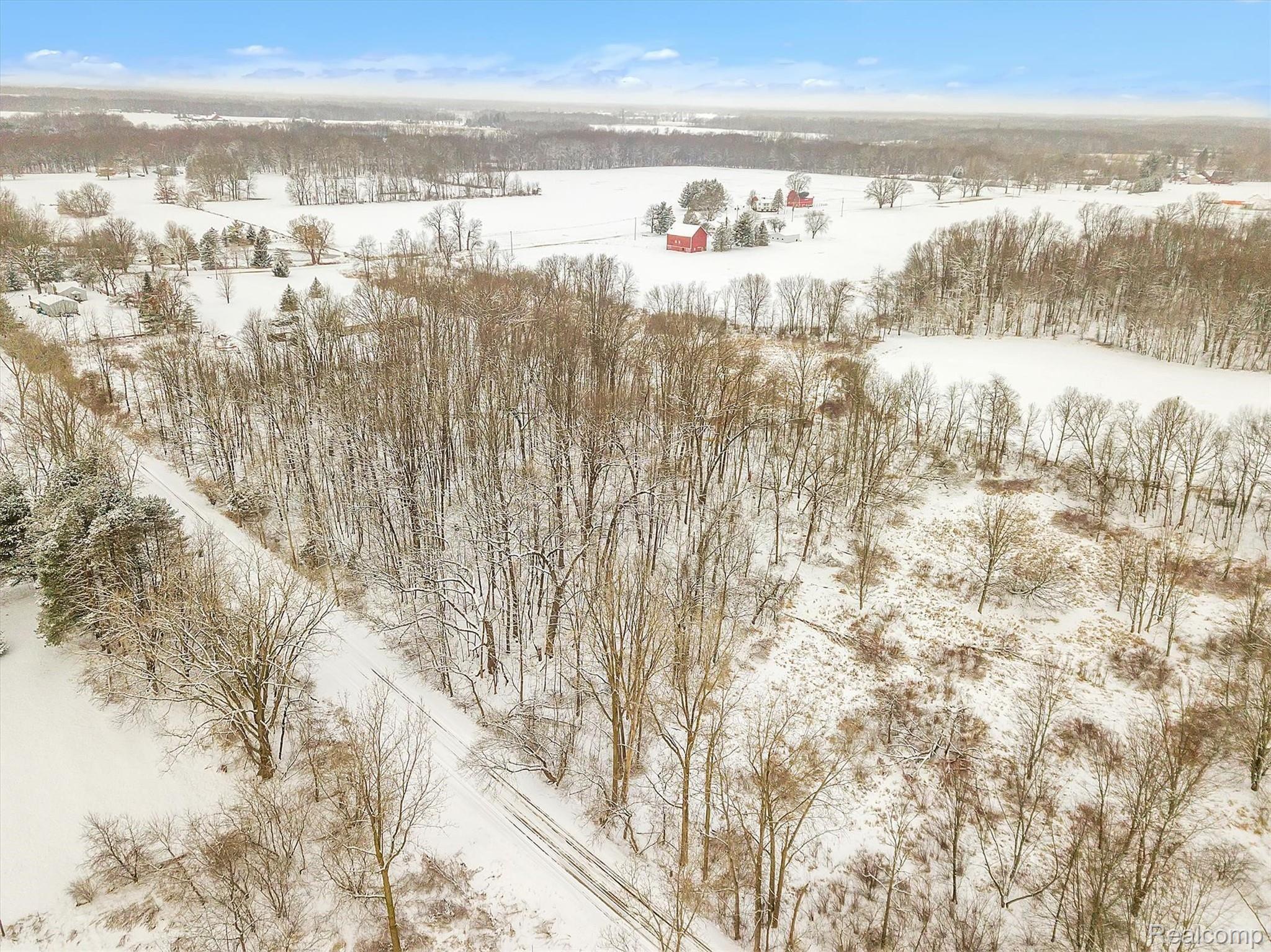 9344 Antcliff Road Howell, MI 48855 - Photo 40 of 43 Wooded property behind home.jpg