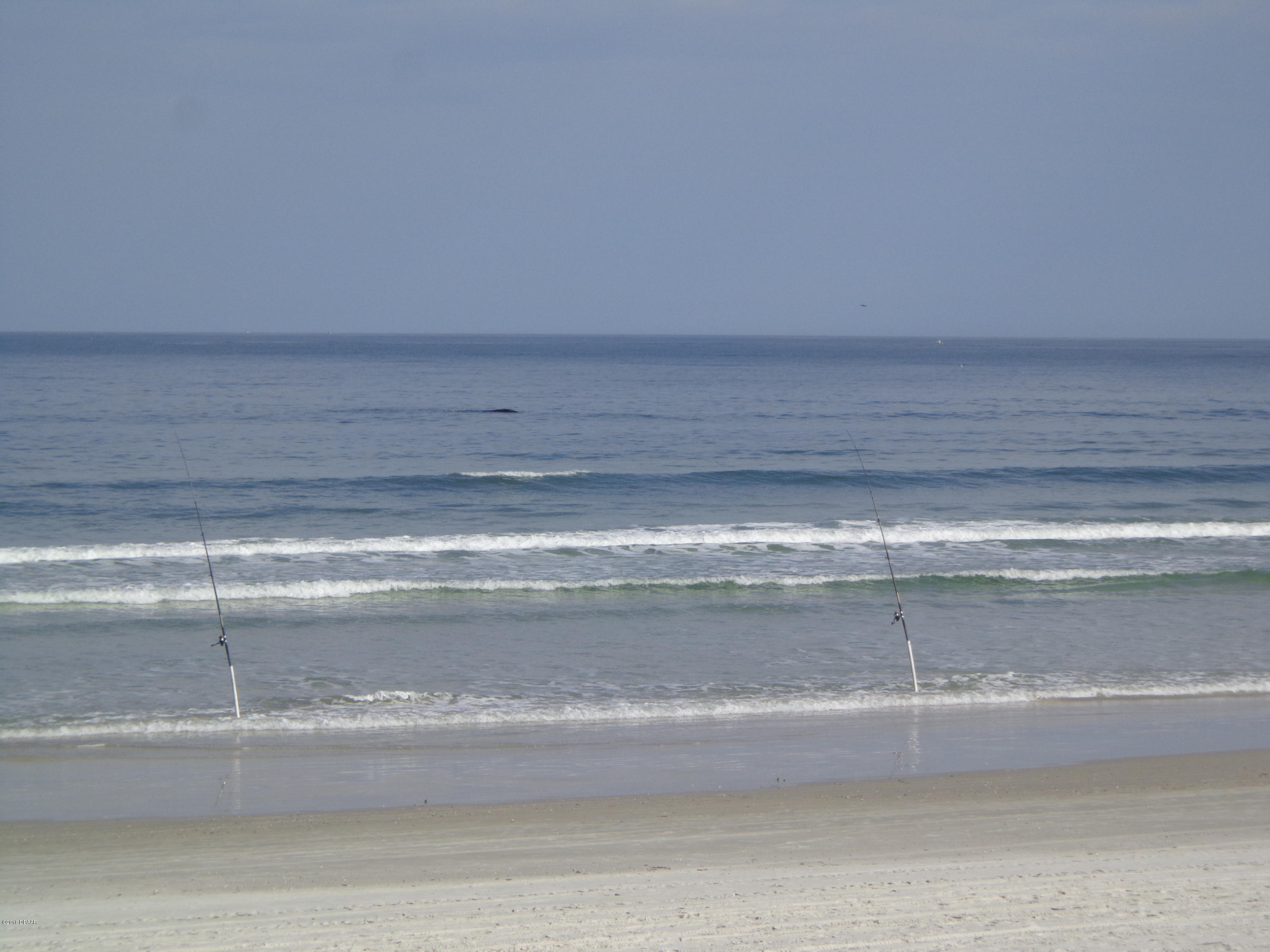 22 Mar Azul South Ponce Inlet, FL 32127 - Photo 8 of 12 DSC00529