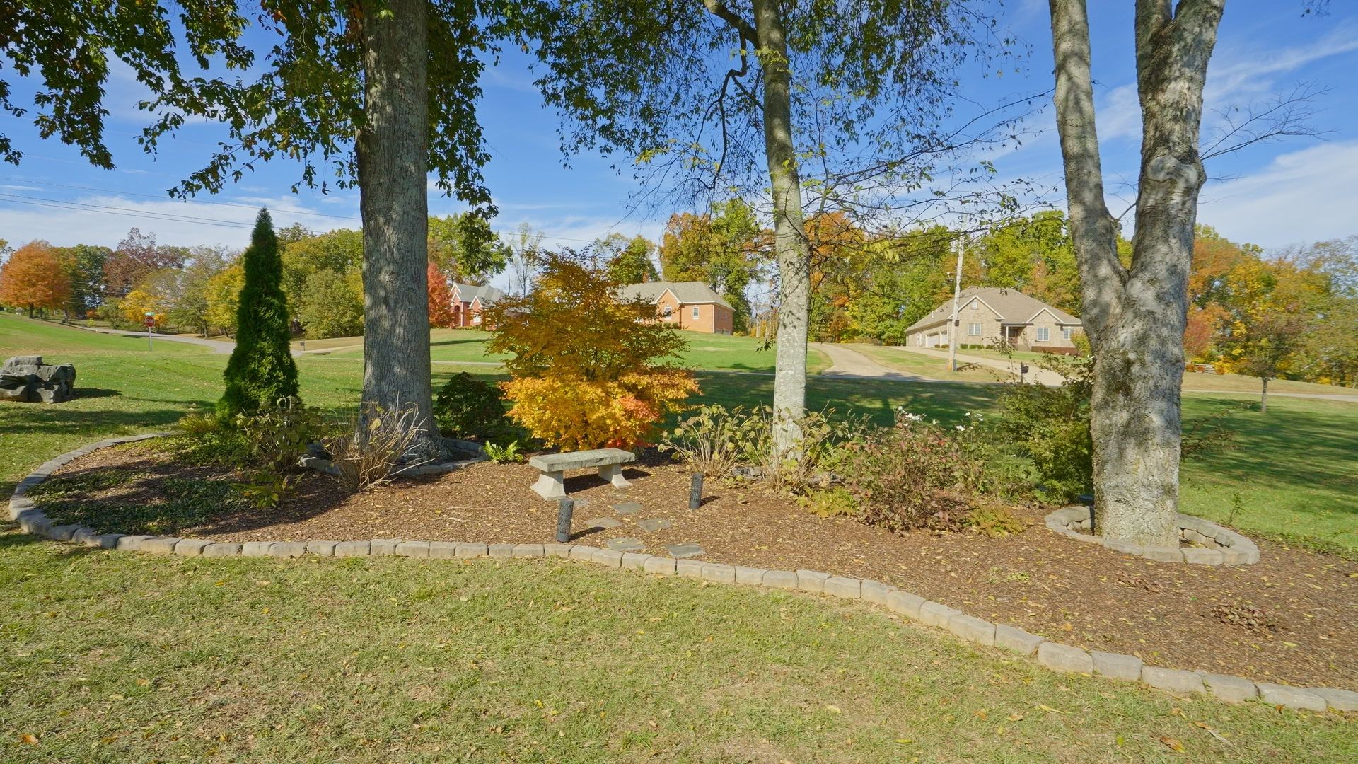 2003 Tammy Drive Springfield, TN 37172 - Photo 8 of 69 a view of a yard with plants and trees