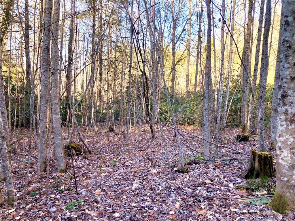 1.98 Long Branch Road, Unit 14 Pisgah Forest, NC 28768 - Photo 2 of 3 a view of outdoor space with trees