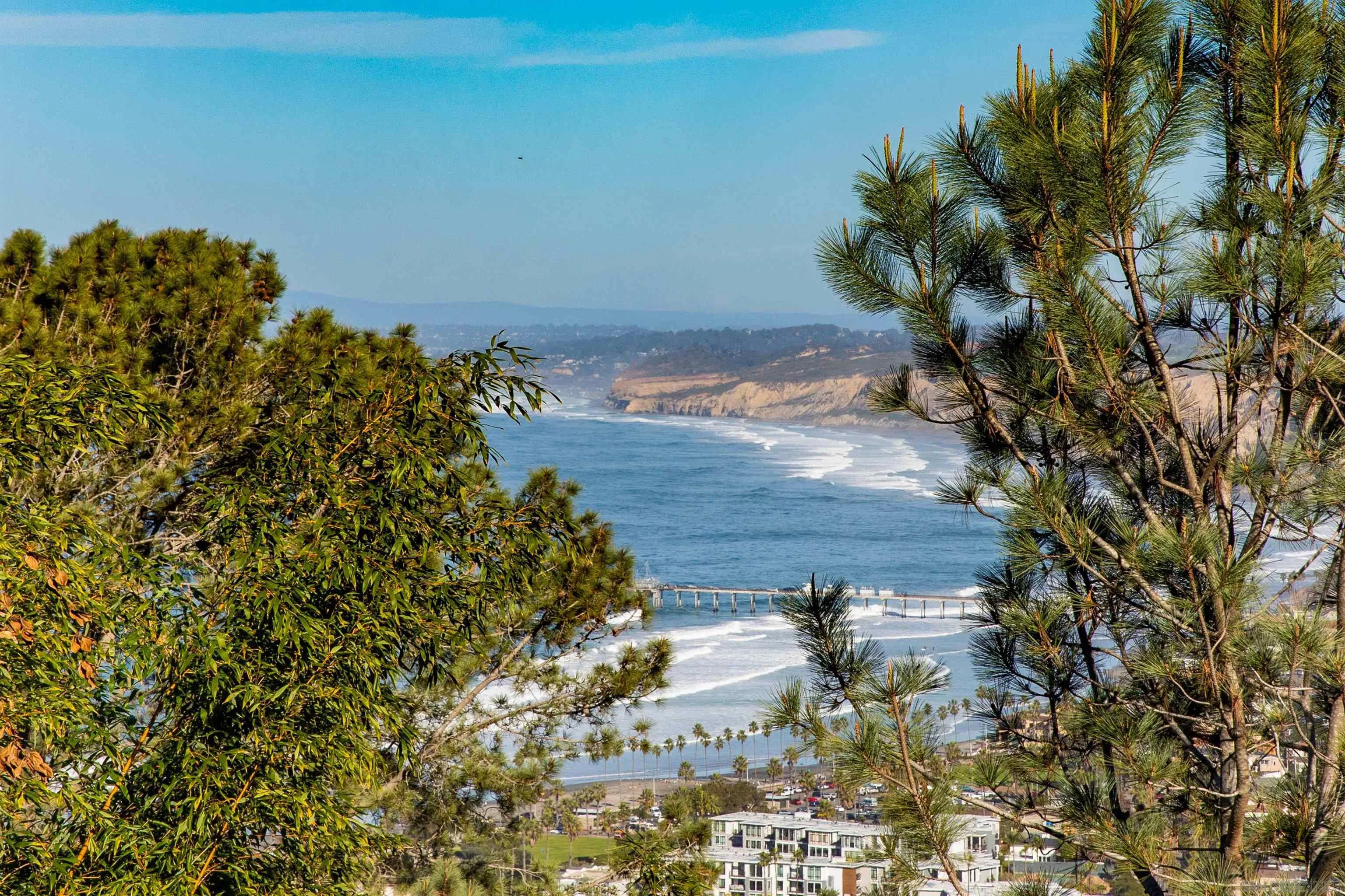 7477 Hillside Drive La Jolla, CA 92037 - Photo 19 of 25 a view of a yard