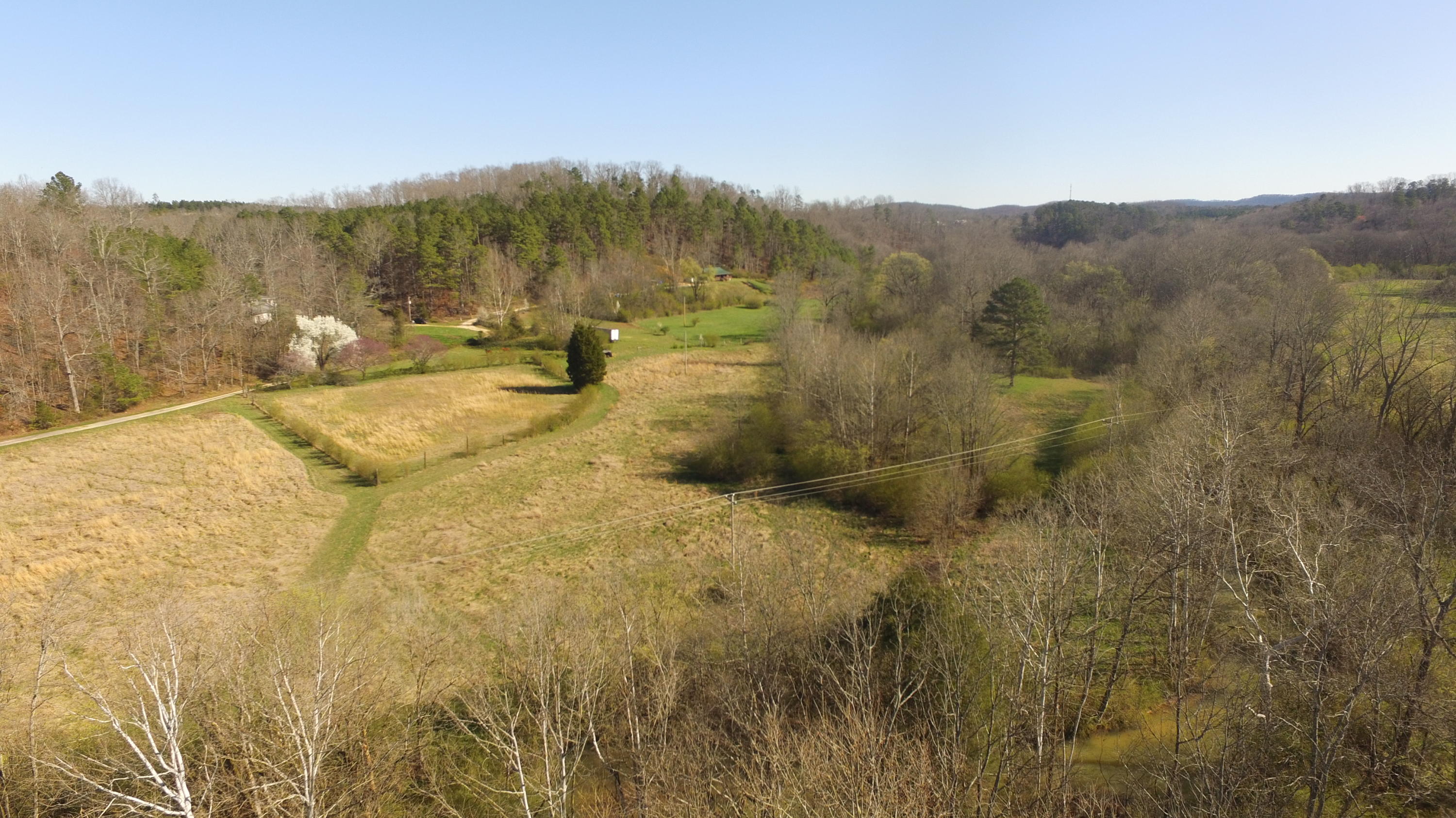 815 Lee Wilson Road LaFayette, GA 30728 - Photo 11 of 29 DJI_0418