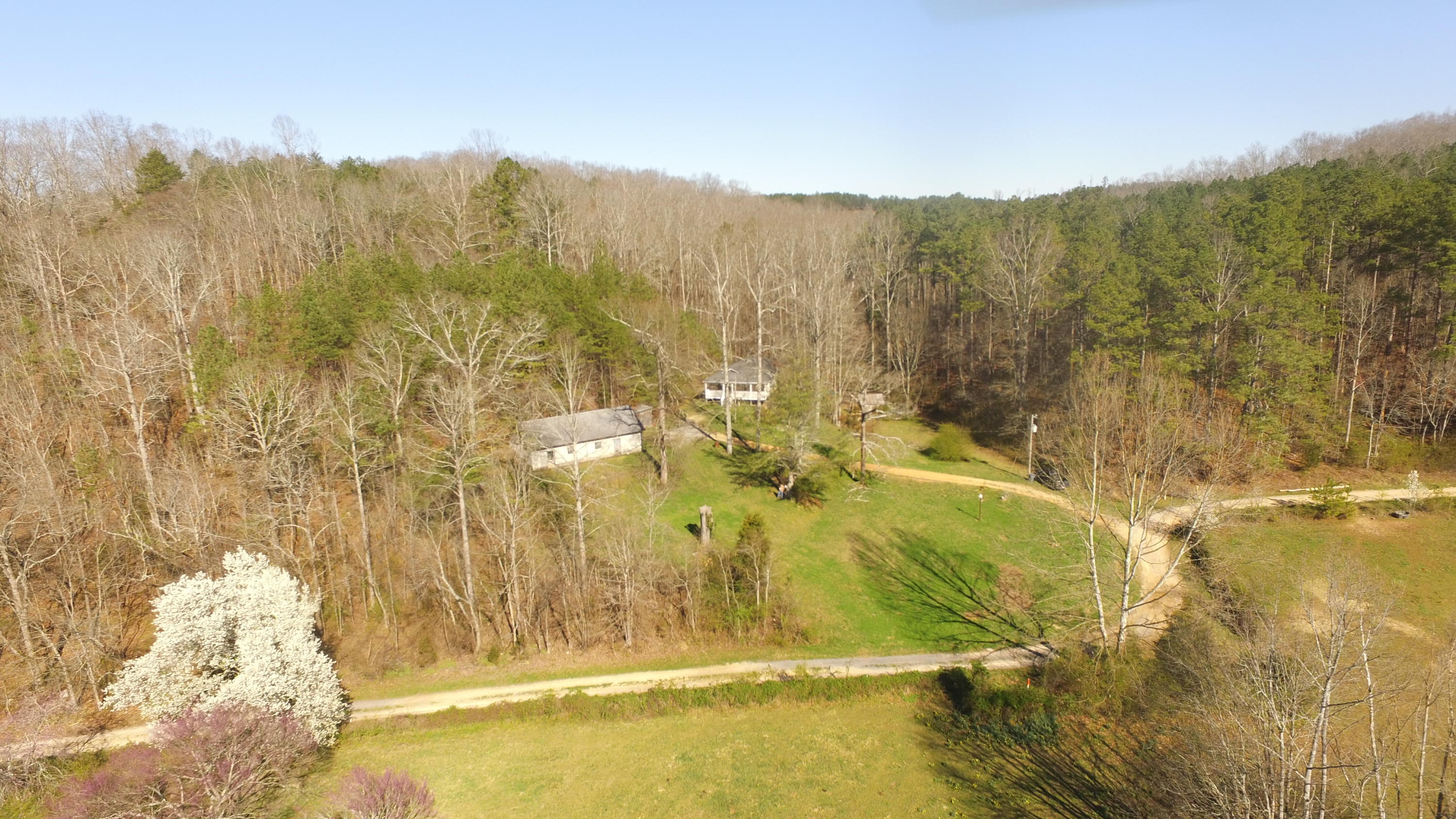 815 Lee Wilson Road LaFayette, GA 30728 - Photo 13 of 29 DJI_0422
