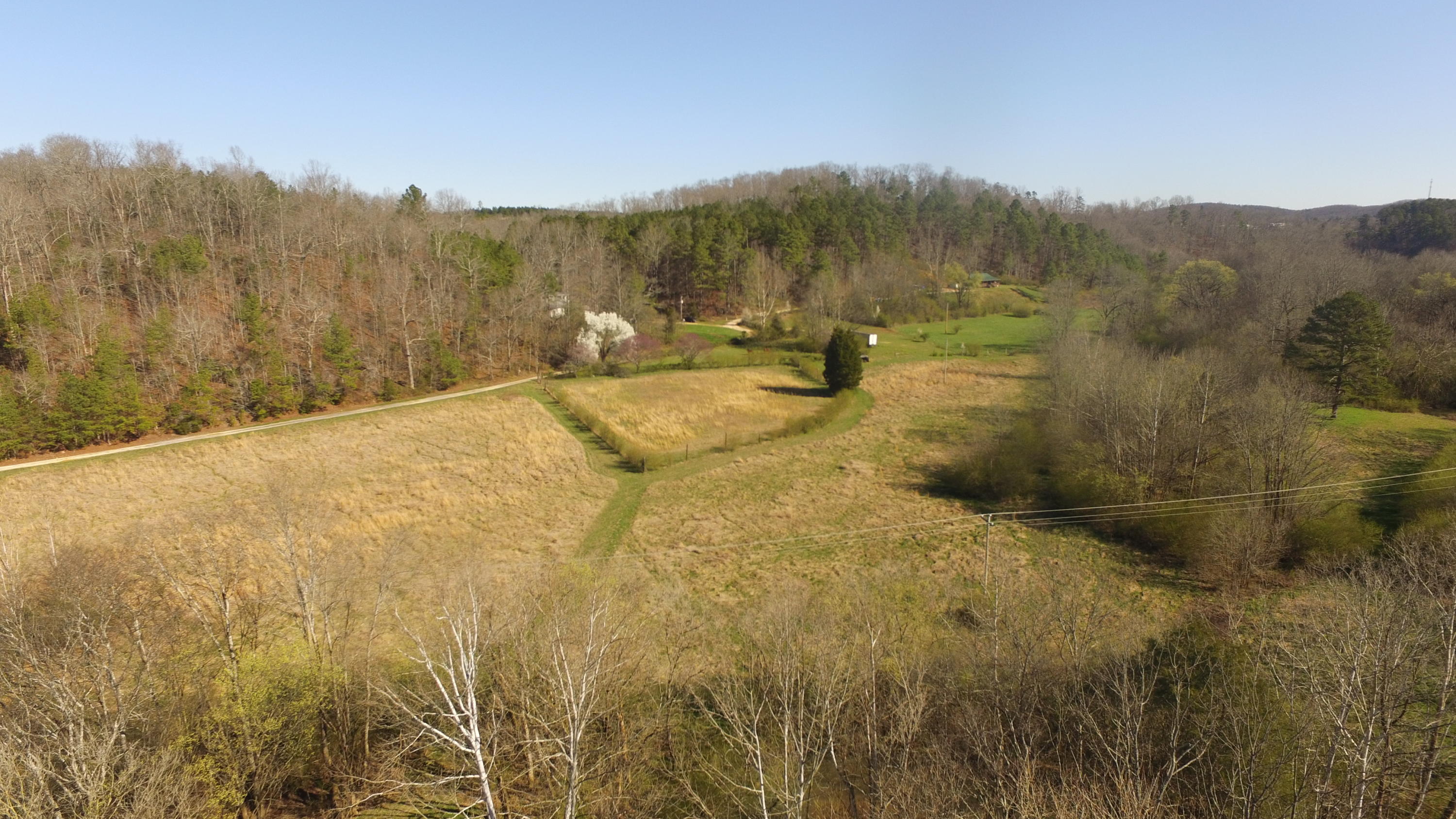 815 Lee Wilson Road LaFayette, GA 30728 - Photo 3 of 29 DJI_0417