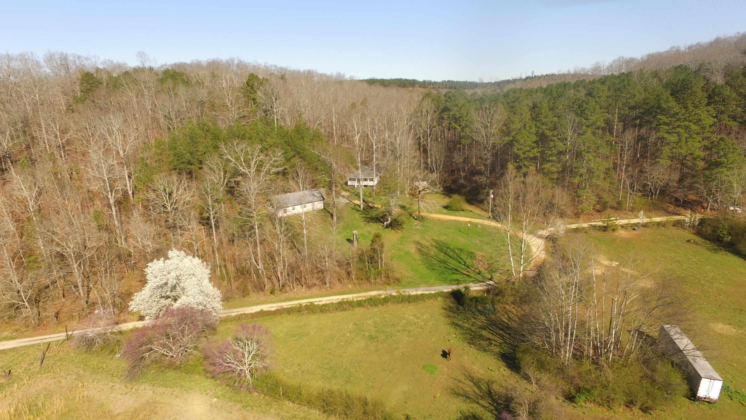 815 Lee Wilson Road LaFayette, GA 30728 - Photo 4 of 29 DJI_0421