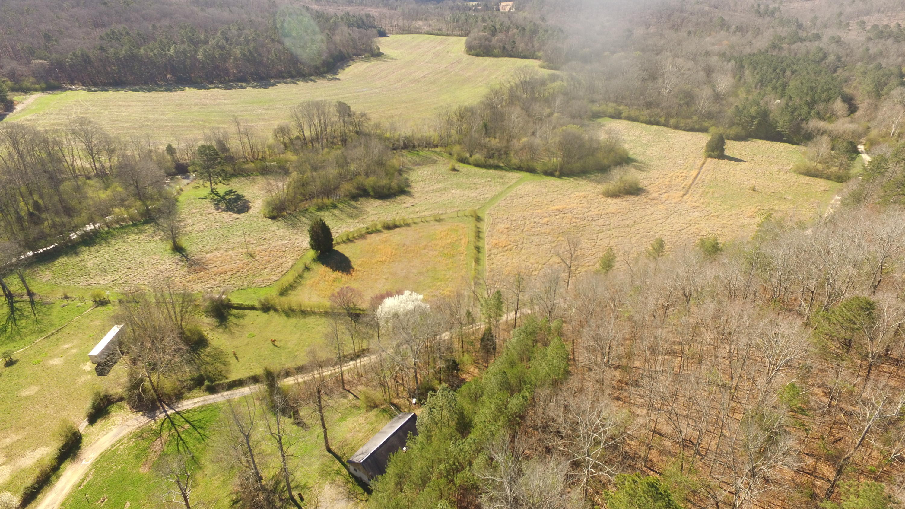 815 Lee Wilson Road LaFayette, GA 30728 - Photo 9 of 29 DJI_0410