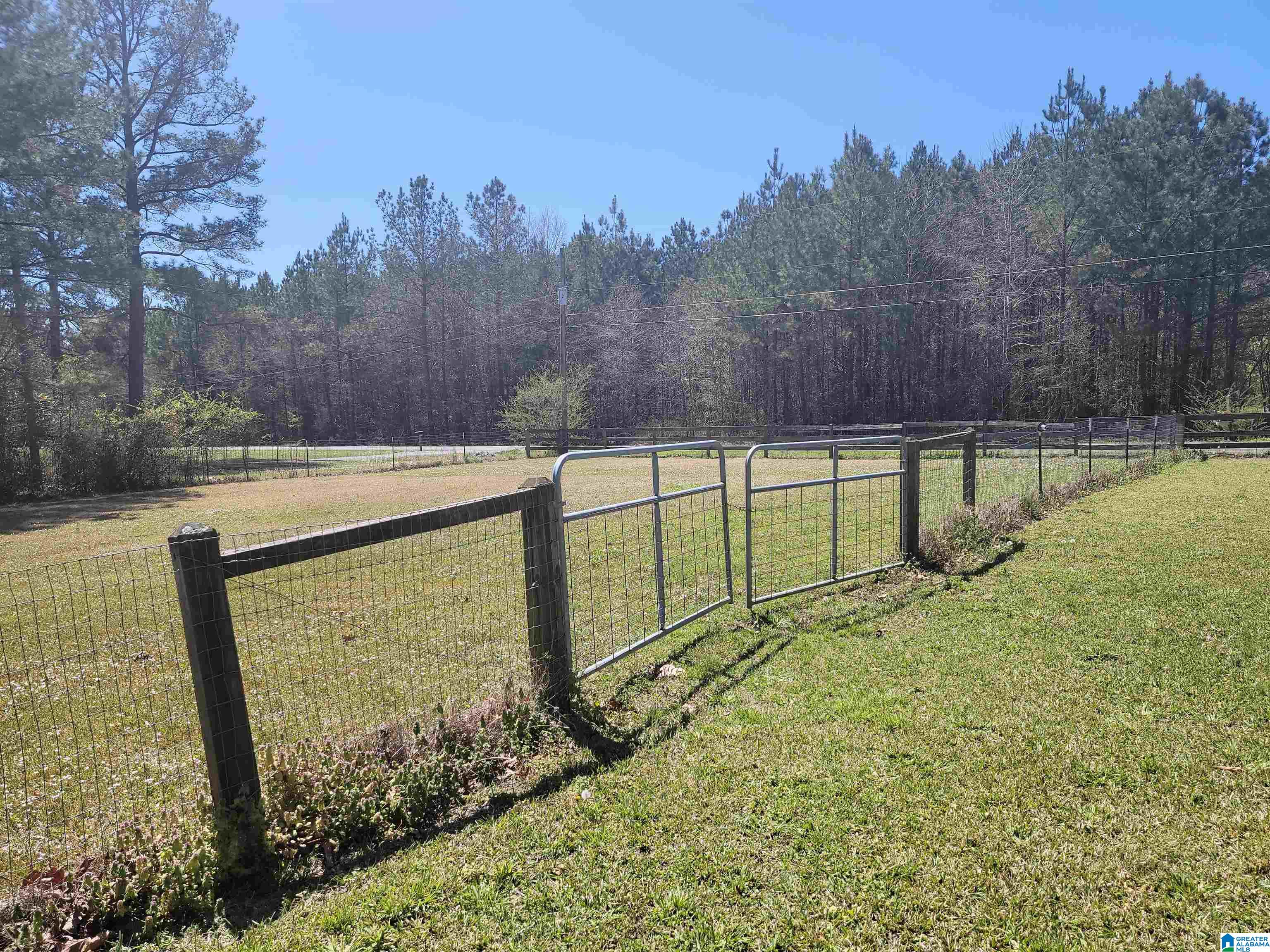 319 Jones Village Road Springville, AL 35146 - Photo 7 of 48
