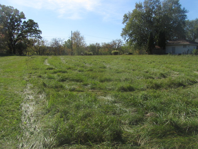 1612 Main Street Spring Grove, IL 60081 - Photo 41 of 46