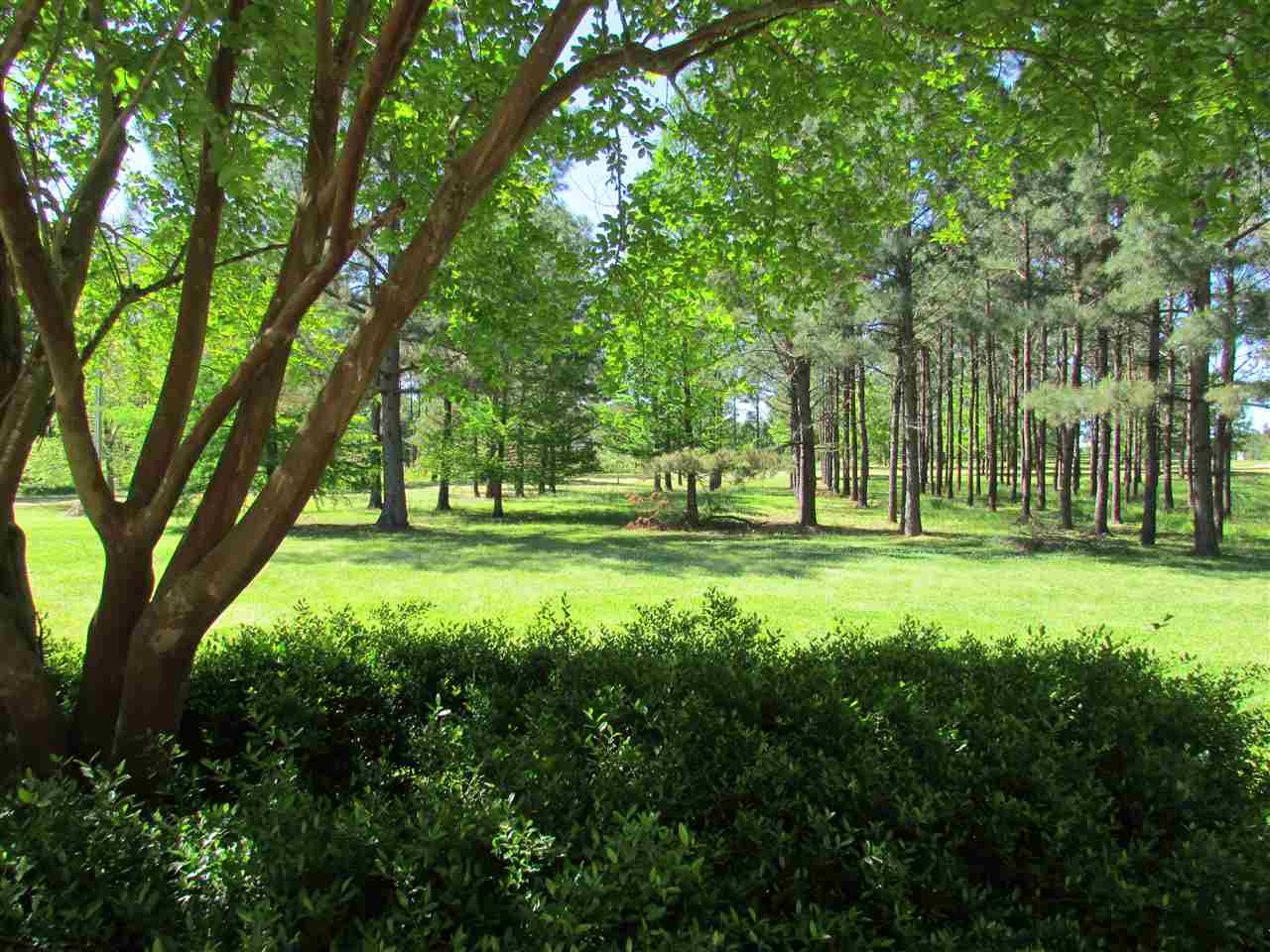 519 Harmony Road Crystal Springs, MS 39059 - Photo 45 of 50 Photo 45