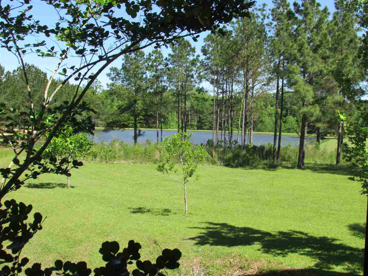 519 Harmony Road Crystal Springs, MS 39059 - Photo 46 of 50 Photo 46