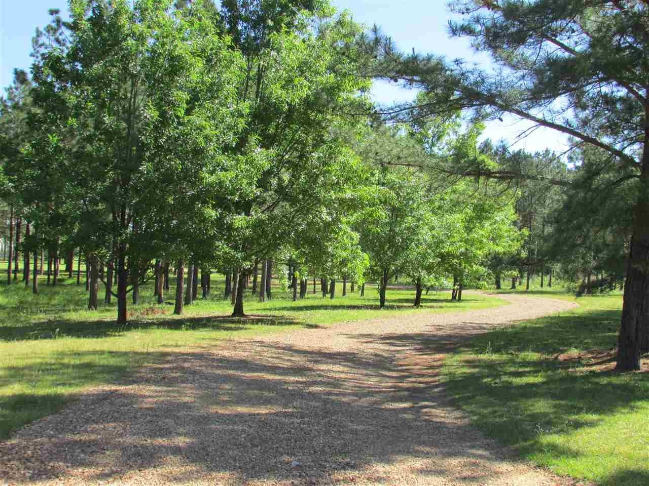 519 Harmony Road Crystal Springs, MS 39059 - Photo 7 of 50 Photo 7