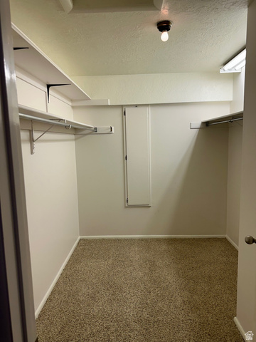 254 Meadow Lane Centerville, UT 84014 - Photo 27 of 34 Spacious closet featuring wall-mounted shelving, hanging rods, textured ceiling, and neutral-toned carpeting