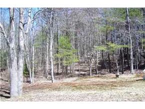 140 Center Road Chichester, NH 03258 - Photo 3 of 4