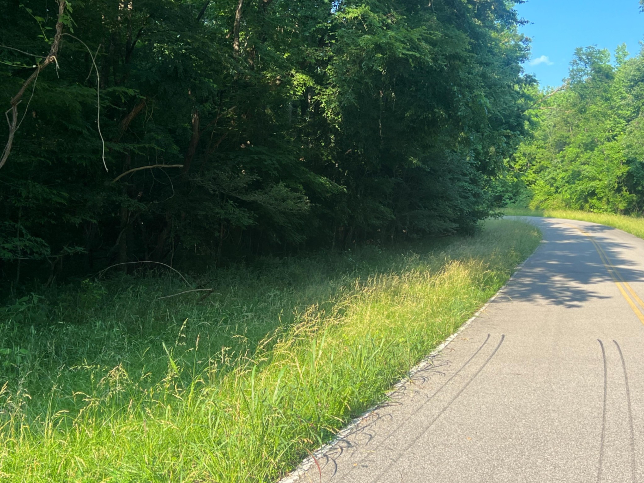 a view of a lake with a yard