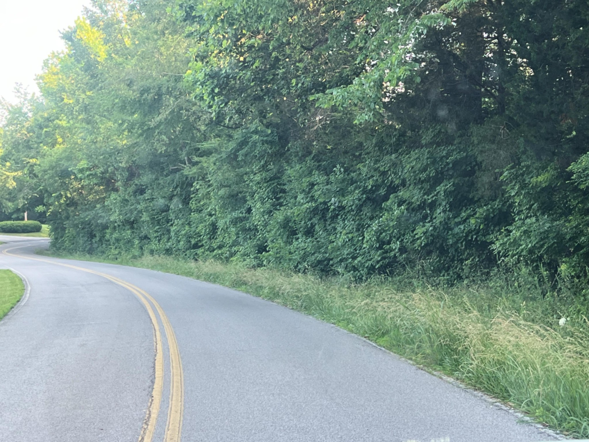 1 Jarrell Ridge Road Clarksville, TN 37043 - Photo 3 of 6 a view of a rural road with plants and large trees