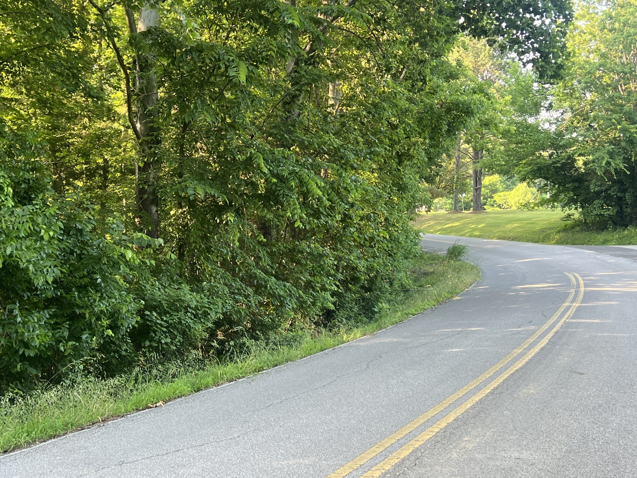 1 Jarrell Ridge Road Clarksville, TN 37043 - Photo 4 of 6 a view of a garden