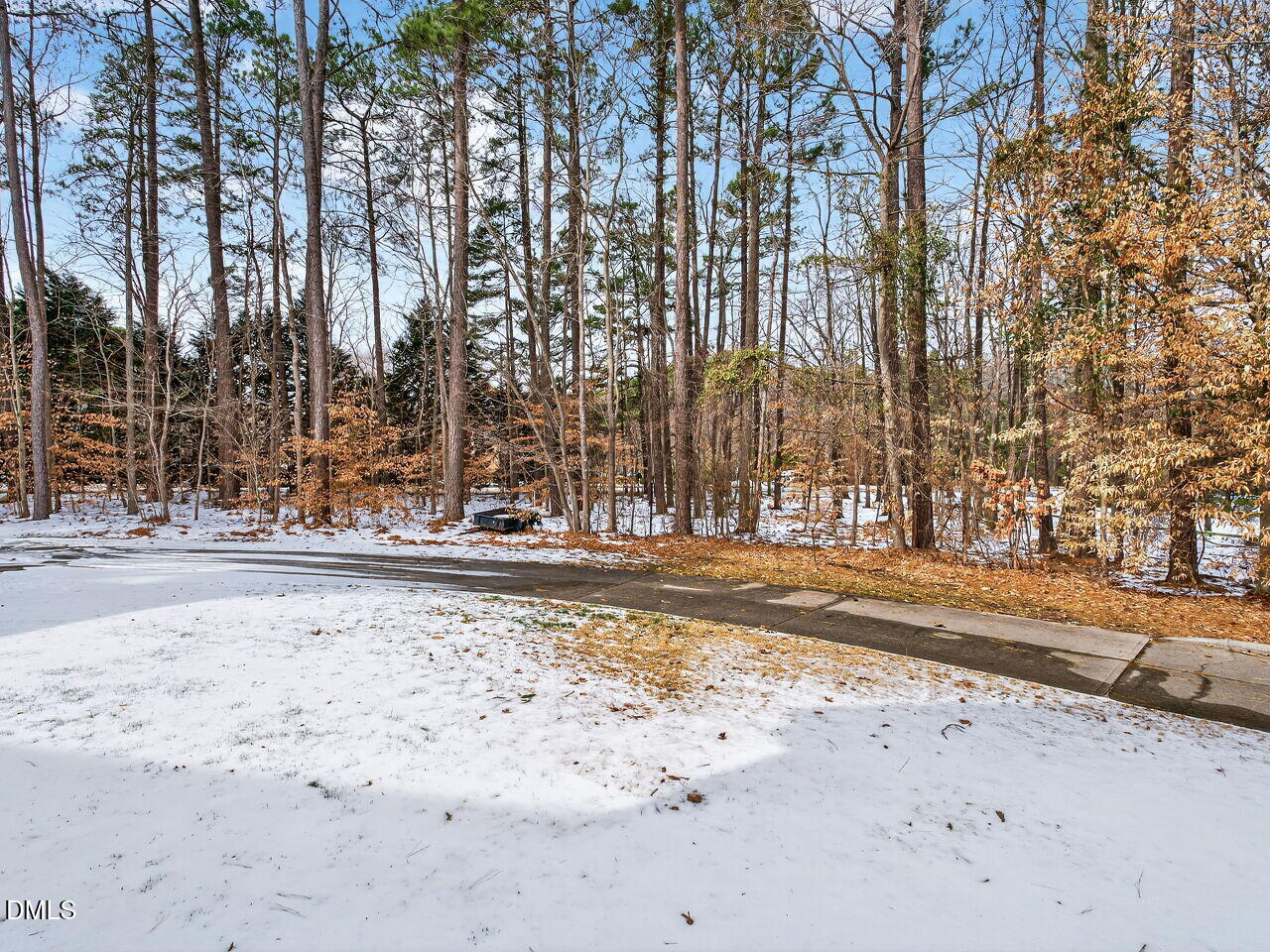 8409 Passage Marseille Court Raleigh, NC 27615 - Photo 39 of 48 a view of road and trees