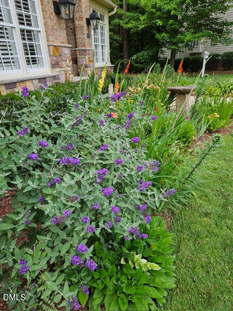 8409 Passage Marseille Court Raleigh, NC 27615 - Photo 41 of 48 a view of flowers in the bunch