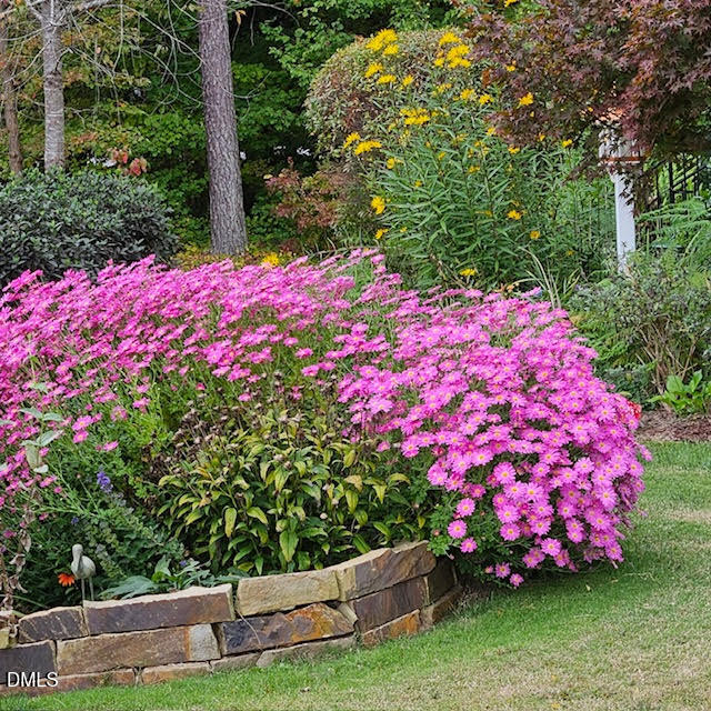 8409 Passage Marseille Court Raleigh, NC 27615 - Photo 42 of 48 a view of a backyard with plants and large trees