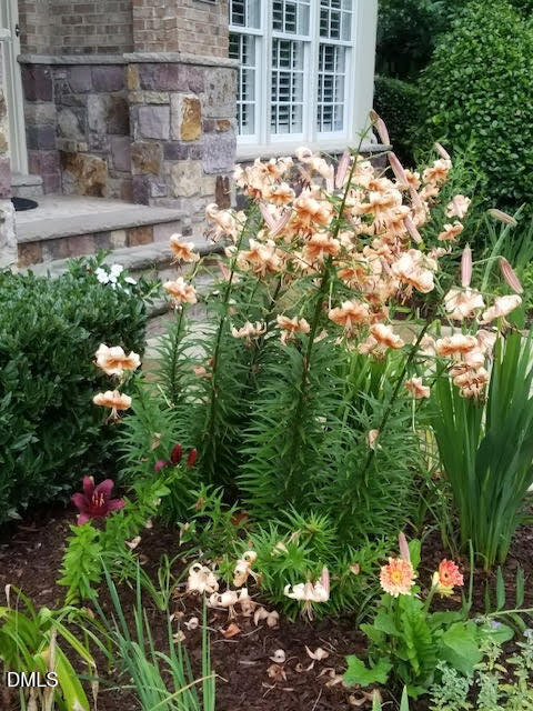 8409 Passage Marseille Court Raleigh, NC 27615 - Photo 43 of 48 a view of a house with a tree