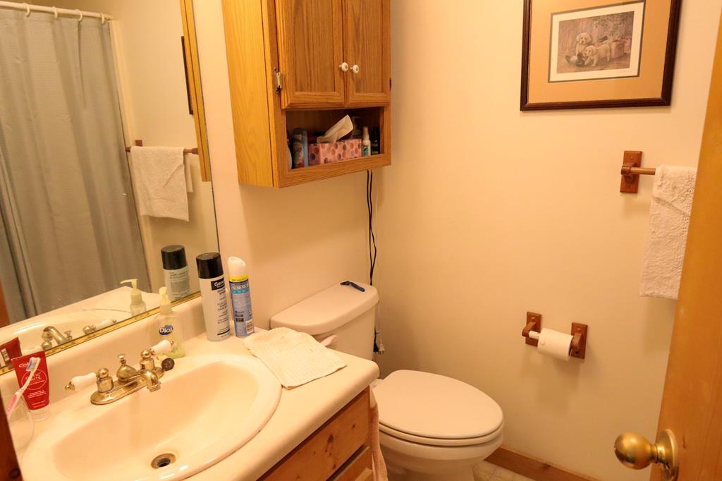 39 Thomas Ridge Lane Blairsville, GA 30512 - Photo 18 of 19 a bathroom with a sink mirror vanity and toilet
