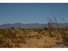 3399 West Santa Fe Ranch Road Yucca, AZ 86438 - Photo 2 of 3 Additional Photo